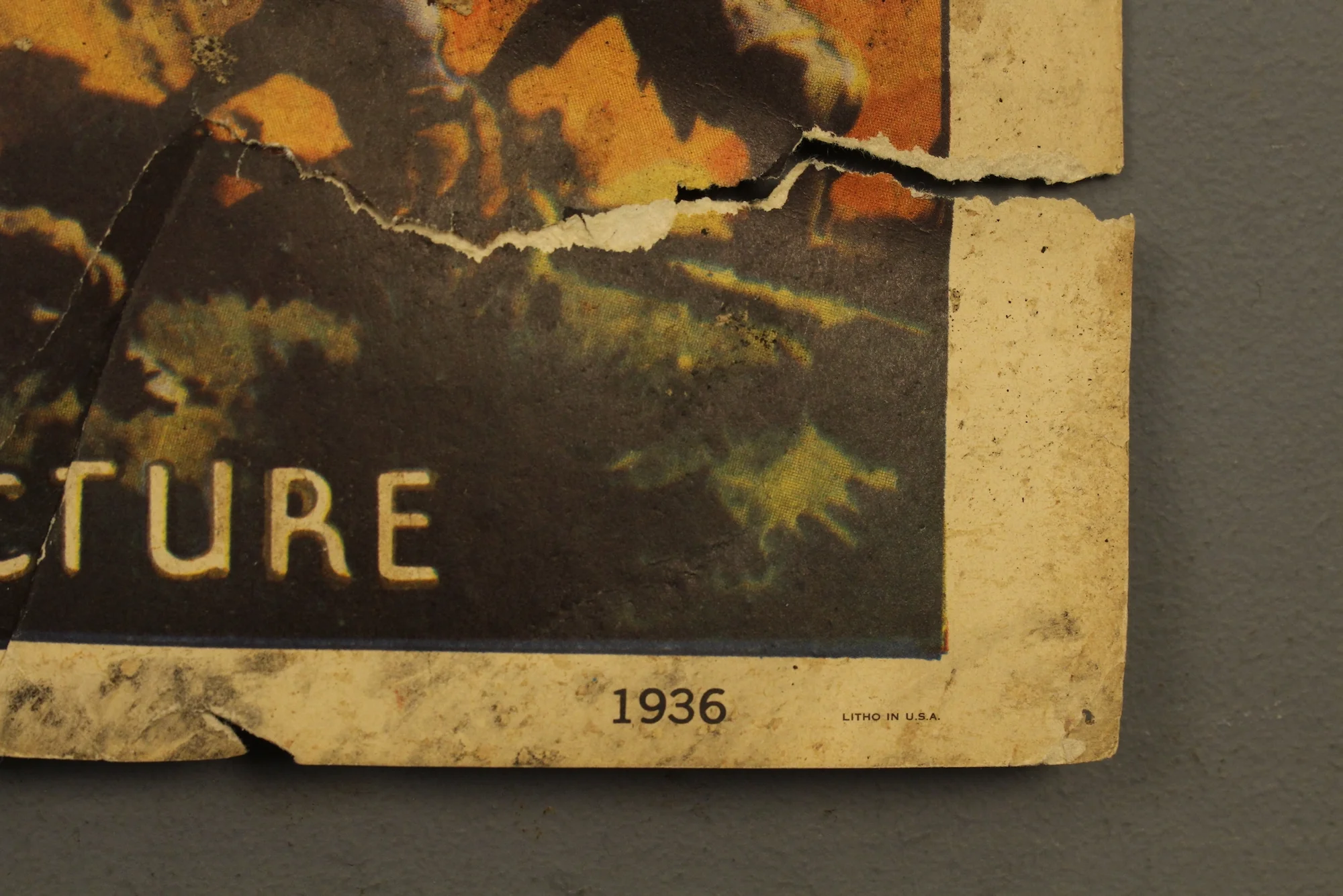 Thumbnail 7